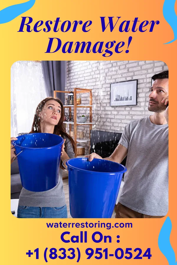 water restoration Pro Water Cleanup Professionals Alpine Northwest