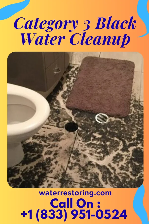 Category 3 Black Water Cleanup in Alpine Northwest, WY