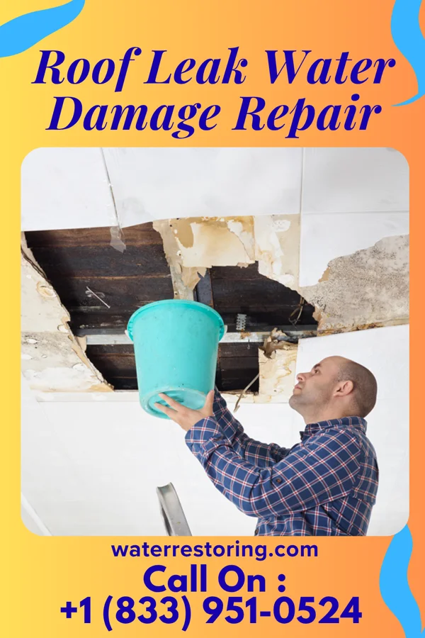 Roof Leak Water Damage Repair in Alpine Northwest, WY